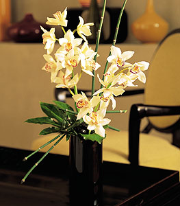  Bilecik ieki iekiler  cam yada mika vazo ierisinde dal orkide