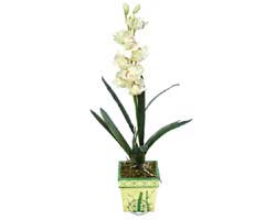 zel Yapay Orkide Beyaz   Bilecik ieki online ieki , iek siparii 