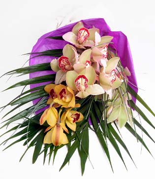  Bilecik ieki cicekciler , cicek siparisi  1 adet dal orkide buket halinde sunulmakta