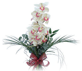  Bilecik ieki iek siparii sitesi  Dal orkide ithal iyi kalite