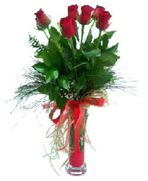 vazo içerisinde 5 kırmızı gül  Bilecik çiçekçi güvenli kaliteli hızlı çiçek 
