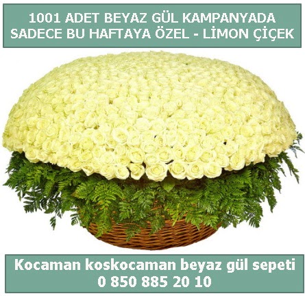 1001 adet beyaz gül sepeti özel kampanyada  Bilecik çiçekçi çiçek gönderme sitemiz güvenlidir 