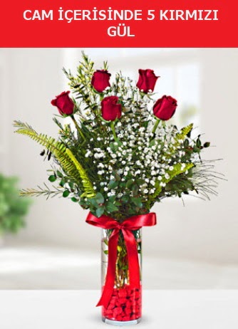 Cam içerisinde 5 adet kırmızı gül  Bilecik çiçekçi çiçek siparişi sitesi 
