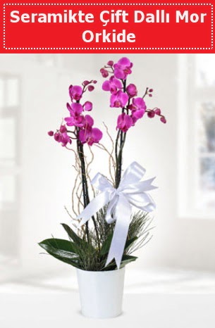 Seramikte Çift Dallı Mor Orkide  Bilecik çiçekçi anneler günü çiçek yolla 