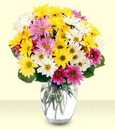  Bilecik çiçekçi internetten çiçek siparişi  mevsim çiçekleri mika yada cam vazo