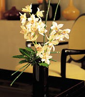  Bilecik çiçekçi çiçekçiler  cam yada mika vazo içerisinde dal orkide
