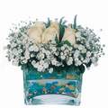 mika ve beyaz gül renkli taslar   Bilecik çiçekçi çiçek satışı 