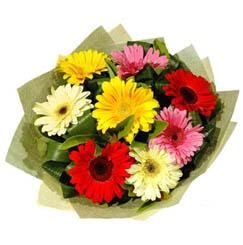 9 adet karisik gerbera demeti  Bilecik çiçekçi çiçek mağazası , çiçekçi adresleri 