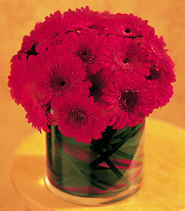  Bilecik çiçekçi ucuz çiçek gönder  23 adet gerbera çiçegi sade ve sik cam içerisinde