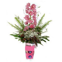  Bilecik çiçekçi hediye çiçek yolla  cam yada mika vazo içerisinde tek dal orkide çiçegi