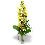  Bilecik çiçekçi İnternetten çiçek siparişi  cam vazo içerisinde tek dal canli orkide
