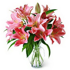 3 dal kazablanka görsel vazosu  Bilecik çiçekçi internetten çiçek siparişi 
