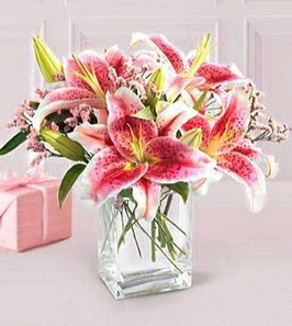 2 dal kazablanka görsel vazosu  Bilecik çiçekçi çiçek siparişi sitesi 