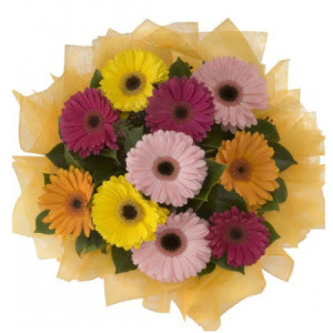  Bilecik çiçekçi İnternetten çiçek siparişi  11 adet karışık gerbera çiçeği buketi