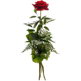  Bilecik çiçekçi online çiçekçi , çiçek siparişi  1 adet kırmızı gülden buket