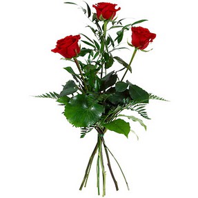  Bilecik çiçekçi uluslararası çiçek gönderme  3 adet kırmızı gülden buket