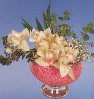  Bilecik çiçekçi çiçek mağazası , çiçekçi adresleri  Dal orkide kalite bir hediye