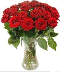  Bilecik çiçekçi çiçek mağazası , çiçekçi adresleri  Vazoda 15 adet kırmızı gül tanzimi