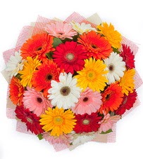 15 adet renkli gerbera buketi  Bilecik çiçekçi yurtiçi ve yurtdışı çiçek siparişi 