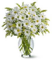 Vazo içerisinde beyaz krizantem çiçekleri  Bilecik çiçekçi çiçekçi mağazası 
