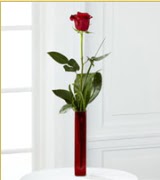 Vazo içerisinde 1 adet kırmızı gül  Bilecik çiçekçi internetten çiçek siparişi 