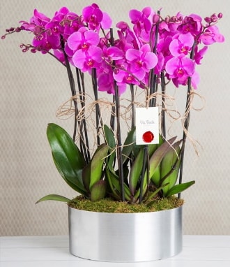 11 dallı mor orkide metal vazoda  Bilecik çiçekçi çiçek gönderme sitemiz güvenlidir 