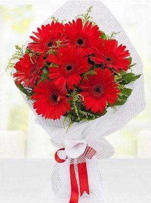 Kırmızı Gelbera Buketi  Bilecik çiçekçi internetten çiçek siparişi 
