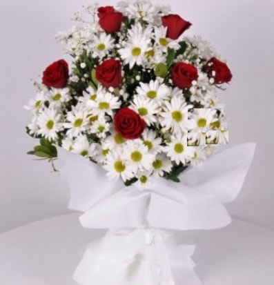 7 adet kırmızı gül ve papatyalar krizantem  Bilecik çiçekçi internetten çiçek satışı 