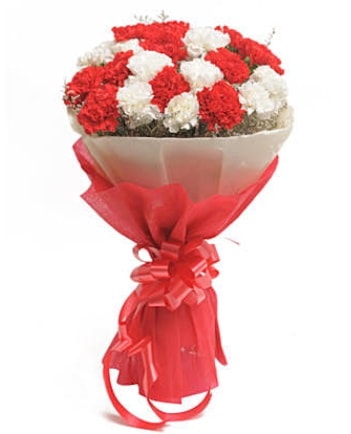 21 adet kırmızı beyaz karanfil buketi  Bilecik çiçekçi çiçek satışı 